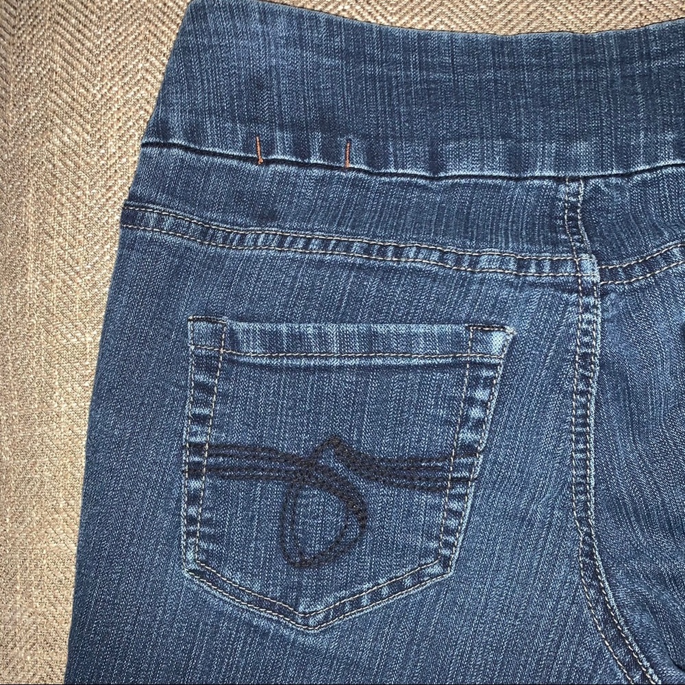 EUC Jag Jeans Slim Leg Jeans Size 2. - Picture 5 of 10
